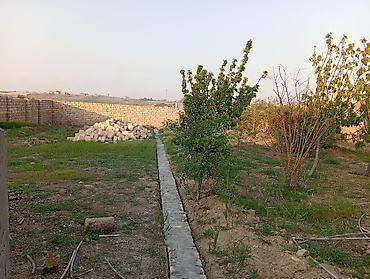 savalan torpag: Tikinti, Kupça (Çıxarış) — 9