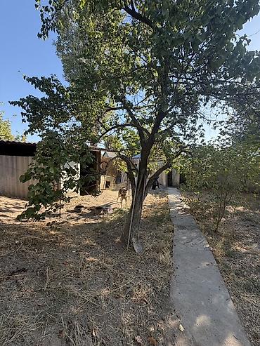 двухэтажный дом в бишкеке: 📍 В Сокулуке (верхняя зона) продается двухуровневый дом на участке 11 — 6