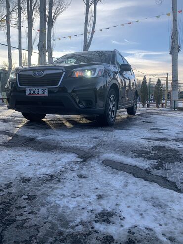 ламборгини машина: Subaru Forester: 2019 г., 2.5 л, Вариатор, Бензин, Кроссовер