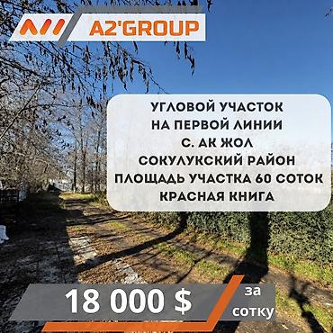 Жер тилкелери: 60 соток, Курулуш, Кызыл китеп — 1