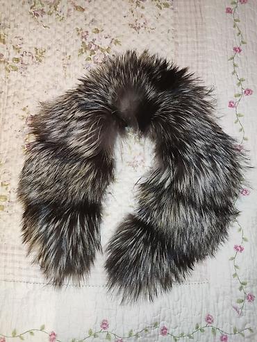 silver chinchilla: Boyunluq xəz. Чернобурка — 1