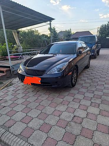 авто фреон: Toyota Windom: 2005 г., 3 л, Автомат, Газ, Седан — 2