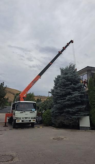 bcd com kg: Стрела 23 м, 7 т, Борт 10 кг — 1