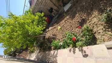 Həyət evləri və villaların satışı: 7 otaqlı, 250 kv. m — 3