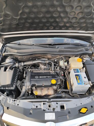 Opel: Opel Astra: 1.4 l | 2009 il 320250 km Hetçbek — 14