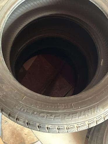 Комплект зимних шин Nankang Winter Activa SV-55 размером 205/55 R16