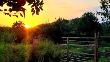 Bağ evlərinin satışı: Qəbələ, 170 kv. m, 6 otaqlı, Qaz, İşıq, Su — 9