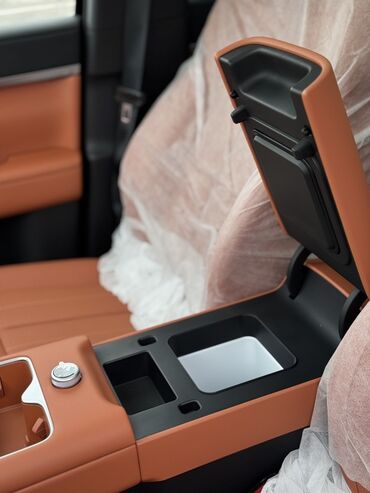 BYD: BYD : 2025 г., 1.5 л, Автомат, Гибрид, Внедорожник — 9