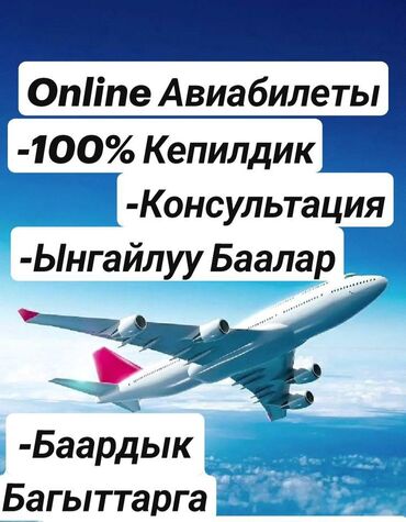 интернет в оше: Интернеттеги жаранама | WhatsApp | Консультация