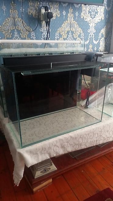 Salam isdənilən ölçüdə akvarium yığıram nömrədə vhatsap var buyurun