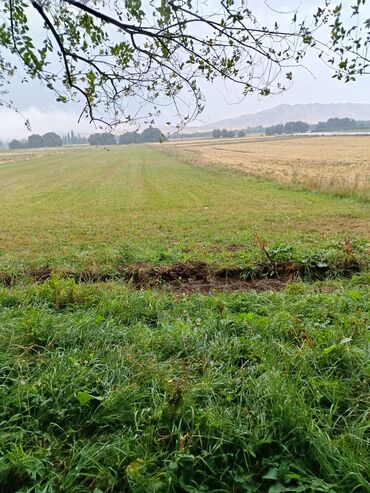 Продажа участков: 72 соток, Для сельского хозяйства, Договор купли-продажи — 7