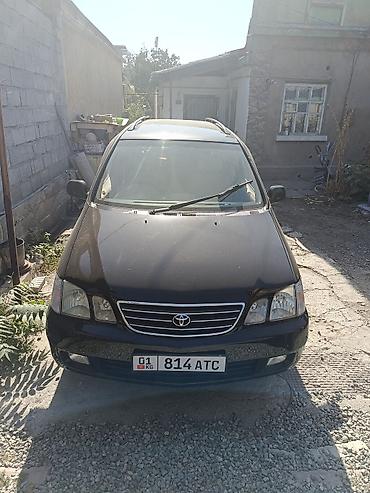 tayota progres: Toyota Ipsum: 2000 г., Автомат, Минивэн — 1