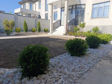 Дизайн, проектирование: Ландшафтный дизайн, система автополива Хантер, посев газона, украшения at lalafo.kg — 10 Дизайн, проектирование: Ландшафтный дизайн, система автополива Хантер, посев газона, украшения — 10