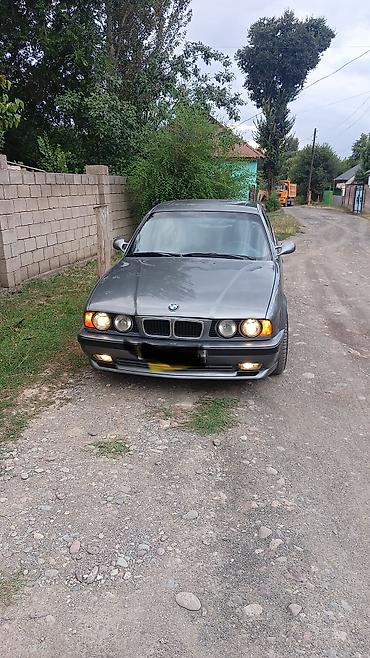 полицейская машина: BMW 5 series: 1995 г., Седан — 2