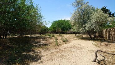 Torpaq sahələrinin satışı: 25 sot, Tikinti, Makler, Kupça (Çıxarış) -da lalafo.az — 1 Torpaq sahələrinin satışı: 25 sot, Tikinti, Makler, Kupça (Çıxarış) — 1