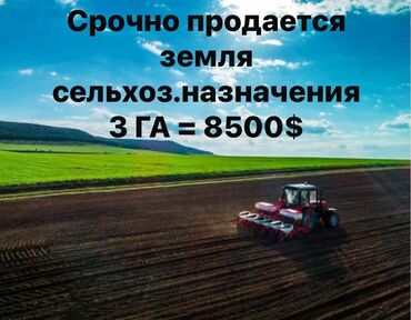 алла тоо: 300 соток, Бизнес үчүн, Сатып алуу-сатуу келишими