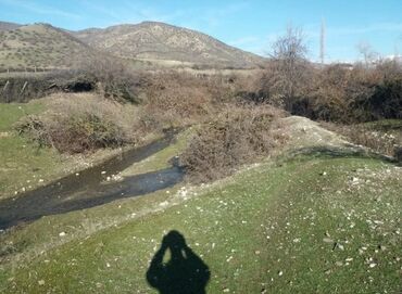 Torpaq sahələrinin satışı: 19 sot, Kənd təsərrüfatı, Mülkiyyətçi, Kupça (Çıxarış) — 6