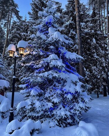 Иссык-Куль 2025: Коттедж, ЦО Радуга, Сары-Ой, Бильярд, Детская площадка, SPA — 9