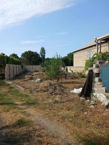visnofkada torpaq: 5 sot, Tikinti, Mülkiyyətçi, Kupça (Çıxarış) — 5