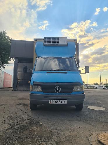 tsunami ranger: Mercedes-Benz Спринтер: 1999 г., 2.9 л, Механика, Фургон — 1