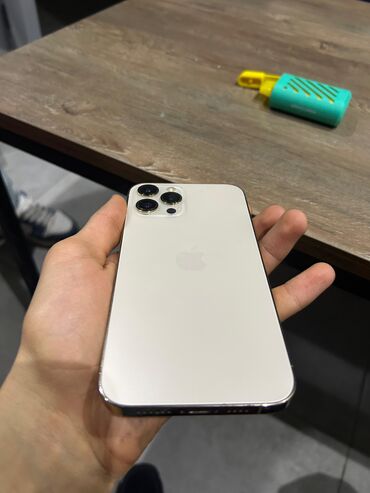 Apple iPhone: IPhone 12 Pro Max, 256 GB, Rose Gold, Face ID