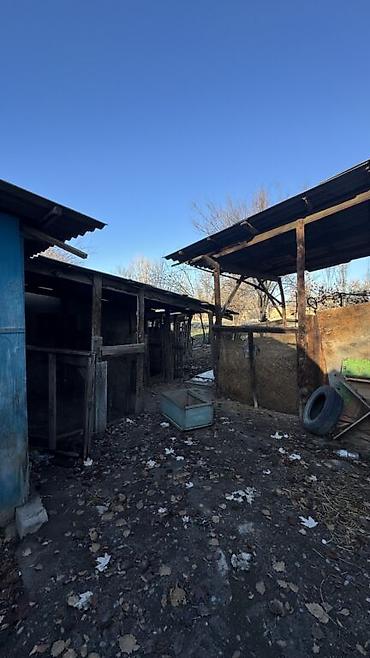 Продажа дач: Срочно продаю участок 26 соток вместе с домом Кара балта — 6