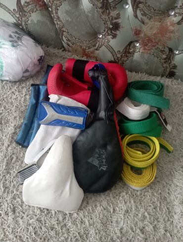 зимняя маска: Набор экипировки для единоборств (таэквондо/каратэ) + спортивная