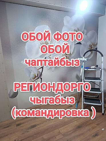 фотограф: Обой жана фото обой чаптайбызөз мөөнөтүндө таза кепилдиги менен — 1