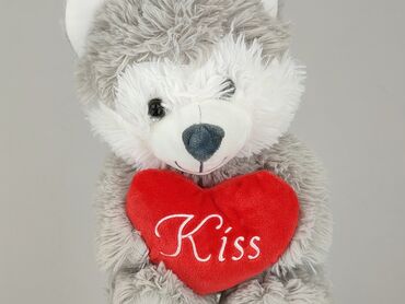 Mascot Teddy bear, condition - Perfect