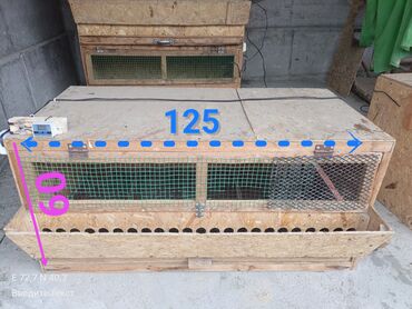 Товары и оборудование для с/х животных: Брудер/клетка для молодняка птицы - Материал: каркас и стены из OSB — 2