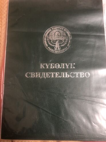 земельный участок в караколе: 372 соток, Для сельского хозяйства, Договор купли-продажи