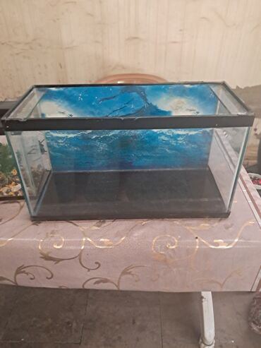 Akvariumlar: Dördbucaq akvarium, Boş, 20 l, Ödənişli çatdırılma, Ünvandan götürmə