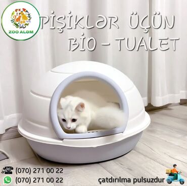 pisik latok: Bio tualet.( doldurucu, qum qabı) Sevimli pişikləriniz üçün gözəl