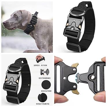 Зоотовары: Продаю игрушку/когтеточку/лежанку 3в1,с кошачей мятой,вашему котику at lalafo.kg — 22 Зоотовары: Продаю игрушку/когтеточку/лежанку 3в1,с кошачей мятой,вашему котику — 22