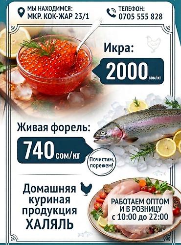 инкубатор икры: Икра, форель и халяльная домашняя куриная продукция. - Икра — 2000 — 1