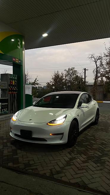 Tesla: Tesla Model 3: 2020 г., Автомат, Электромобиль, Седан — 1