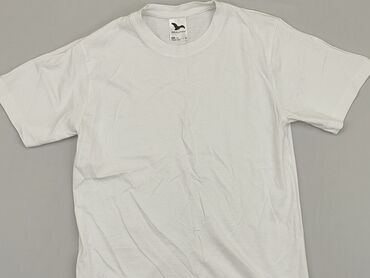 Ubrania męskie: Koszulka dla mężczyzn, S, stan - Bardzo dobry