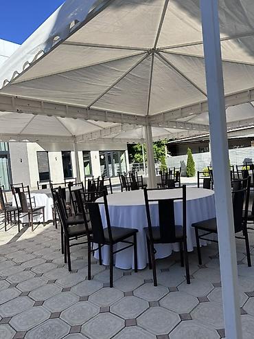 Стулья для кафе, ресторанов: Стул для кафе, ресторанов, Пластик — 6