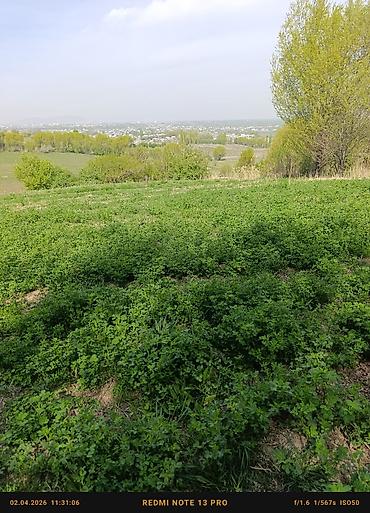 кел кел: 17 соток, Айыл чарба үчүн — 2