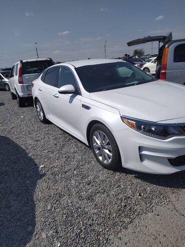 кия сид: Kia Optima: 2018 г., 2.4 л, Автомат, Бензин