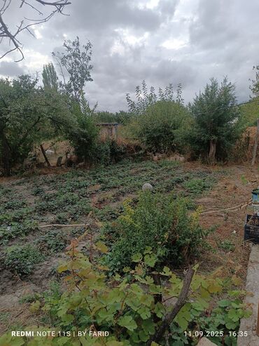 Torpaq sahələrinin satışı: 30 sot, Kənd təsərrüfatı, Mülkiyyətçi, Kupça (Çıxarış) — 7