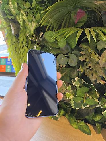 Apple iPhone: IPhone 13, Mavi — 8