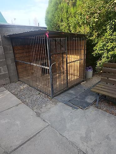 pet банки: Вольер для собаки с будкой цена 29.500 - Просторный уличный вольер из — 3