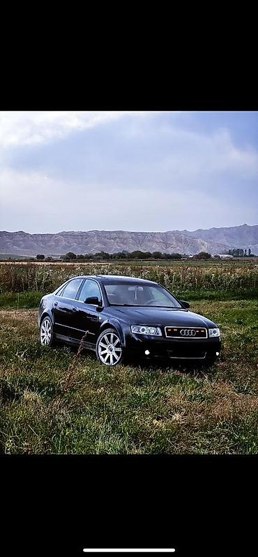 transporter multivan: Audi A4: 2004 г., 3 л, Автомат, Бензин, Седан — 5