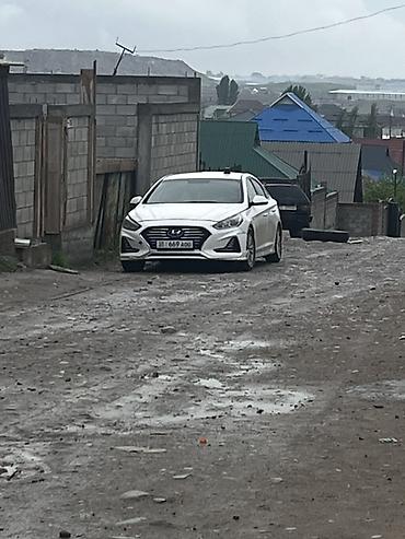 prado 2017: Hyundai : 2019 г., 2 л, Автомат, Газ — 2