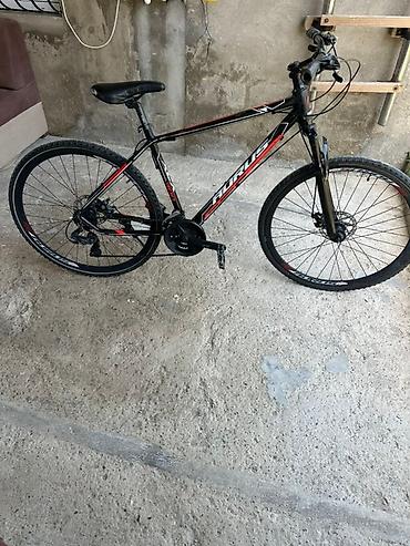 focus velosipedi: Hirus velosipedi qara və qırmızı rəngdədir. Dağ velosipedi kimi — 1