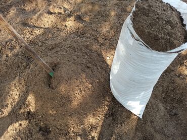 Peyin: Toz halinda mal peyini - kisesi 2,80 q. ( boyuk kepek kisesinde) — 20