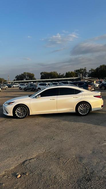 лексус 570 цена: Lexus ES: 2020 г., 2.5 л, Гибрид, Седан — 4