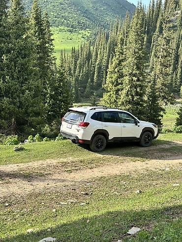 shevrole cruze: Subaru Forester: 2023 г., 2.5 л, Вариатор, Бензин, Кроссовер — 4