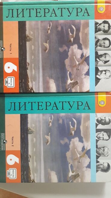 литература 6 класс: Литература для 6 класса (1 и 2 часть. (Самовывоз!) Под редакцией В.Я